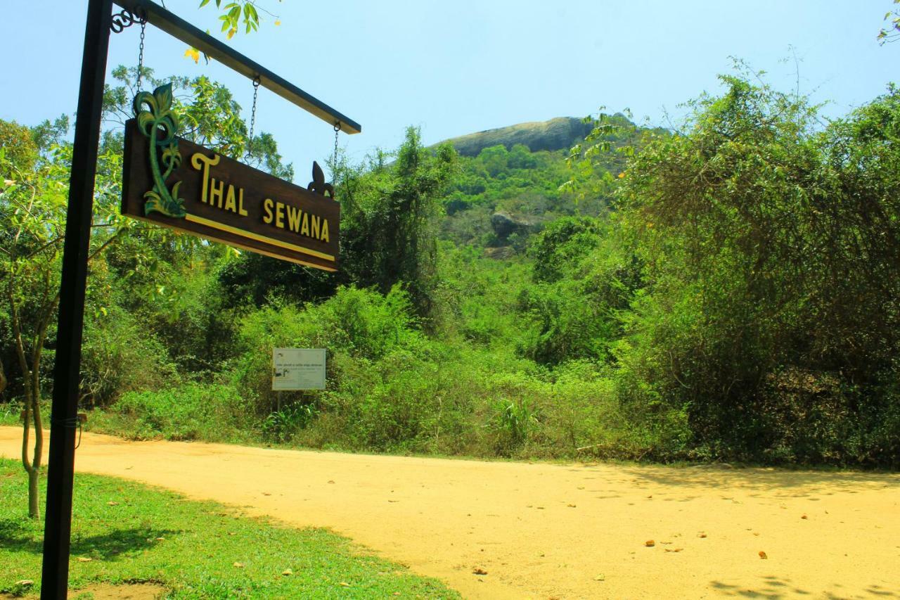 Thal Sewana Home Stay Sigiriya Exterior foto