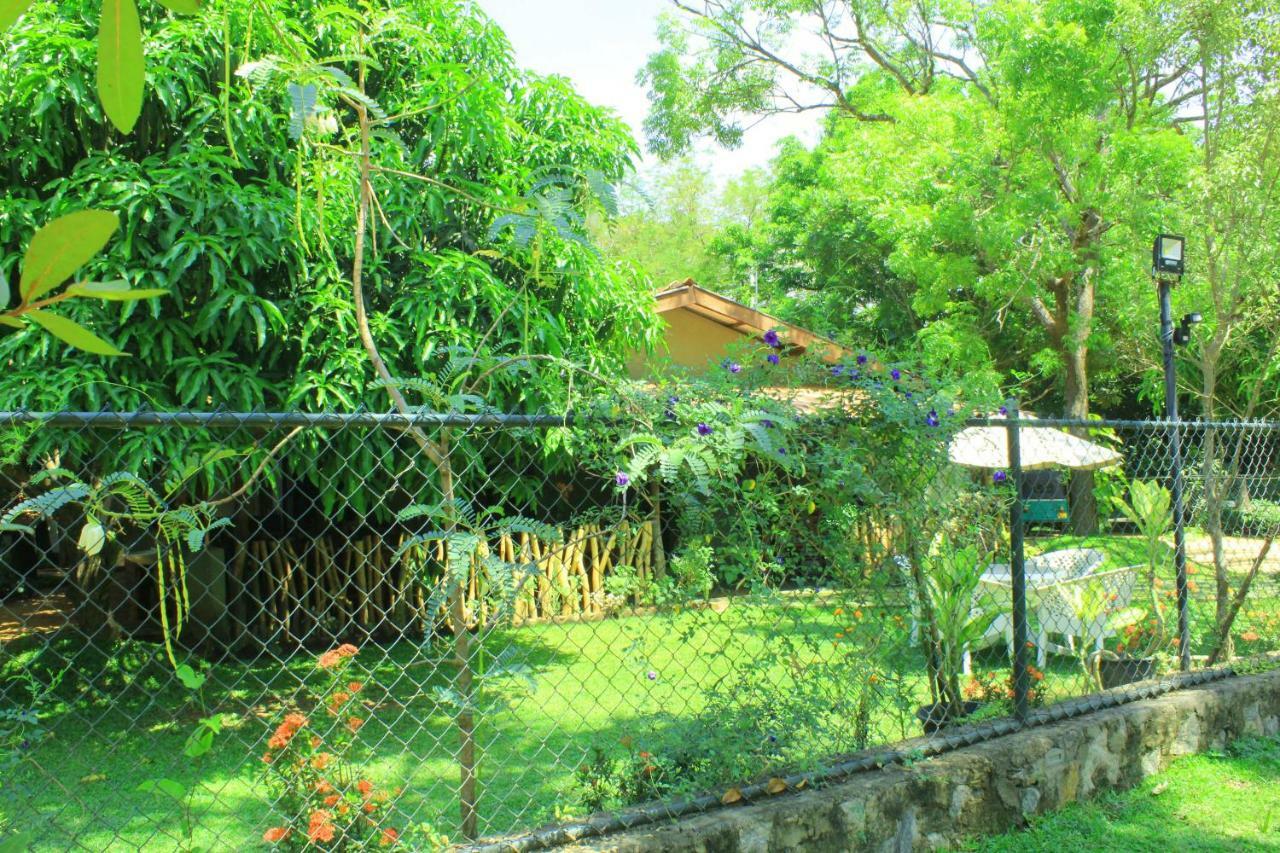 Thal Sewana Home Stay Sigiriya Exterior foto