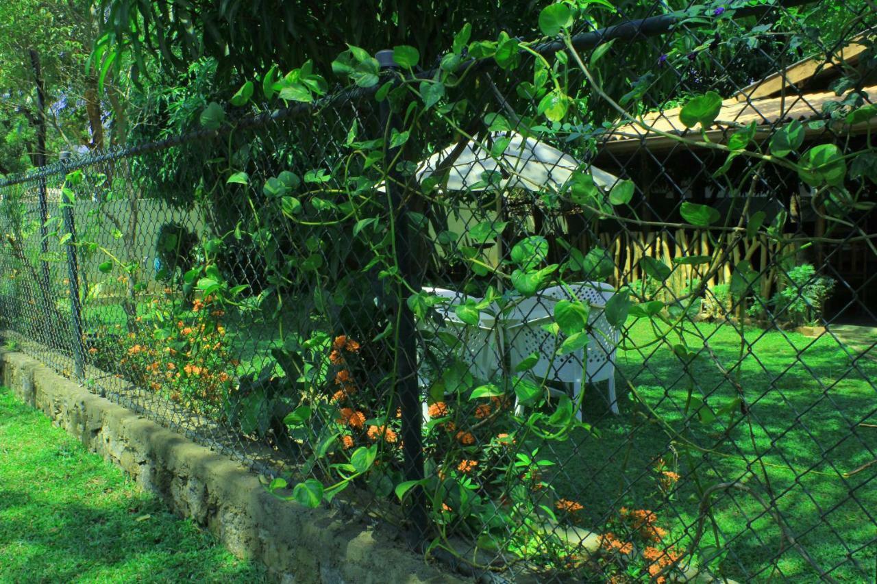 Thal Sewana Home Stay Sigiriya Exterior foto