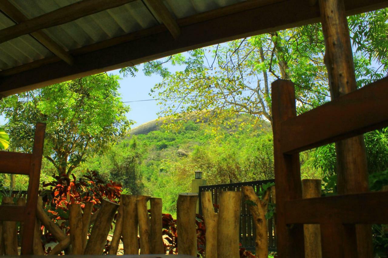 Thal Sewana Home Stay Sigiriya Exterior foto