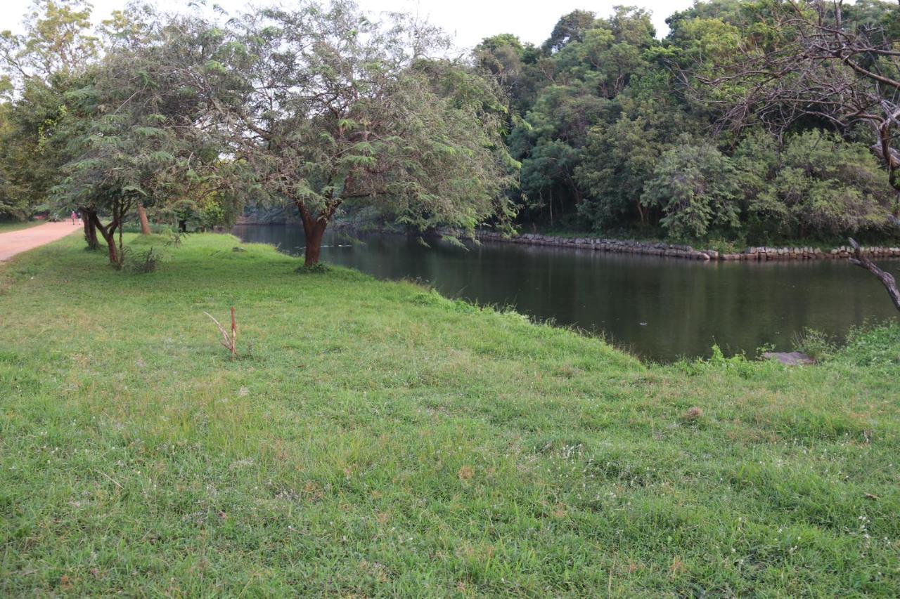 Thal Sewana Home Stay Sigiriya Exterior foto