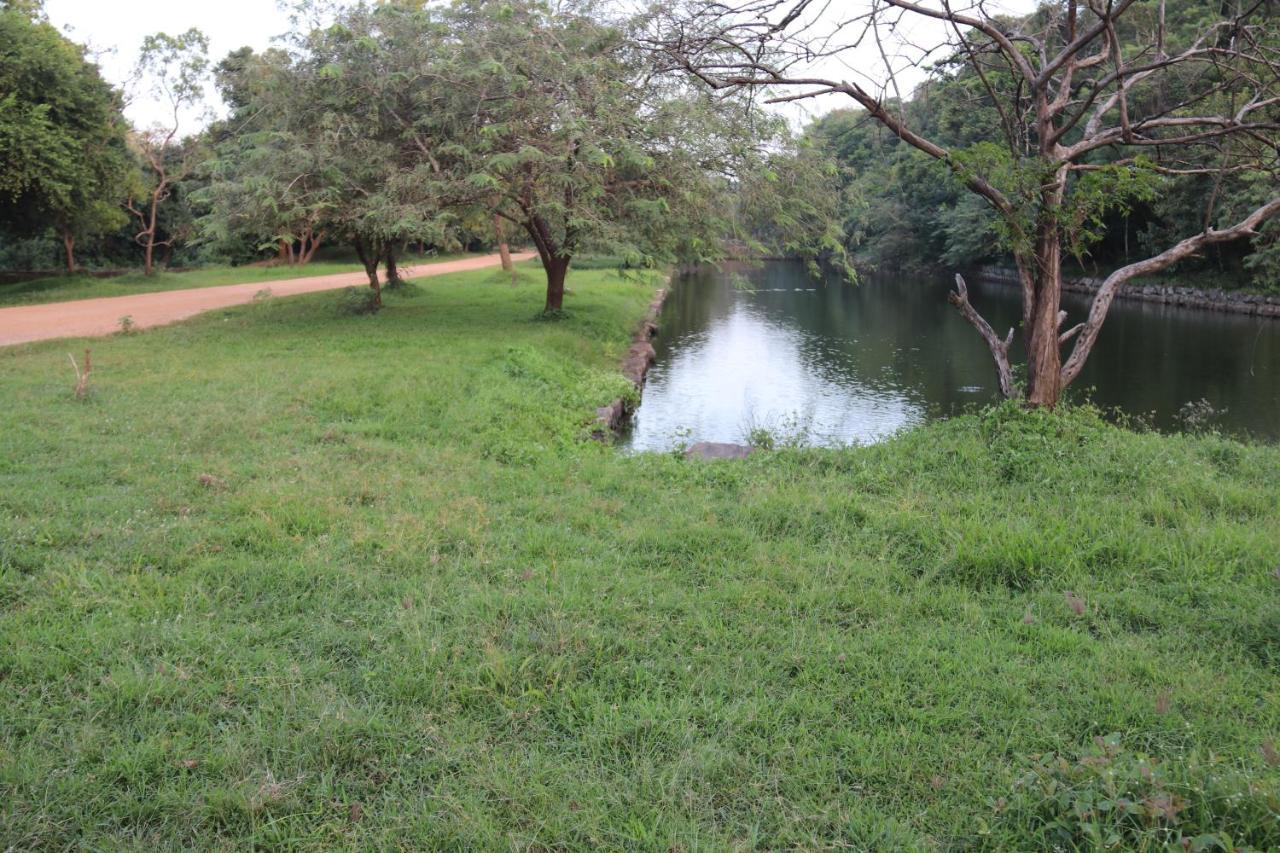 Thal Sewana Home Stay Sigiriya Exterior foto