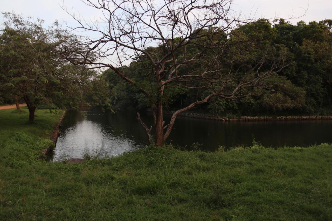 Thal Sewana Home Stay Sigiriya Exterior foto