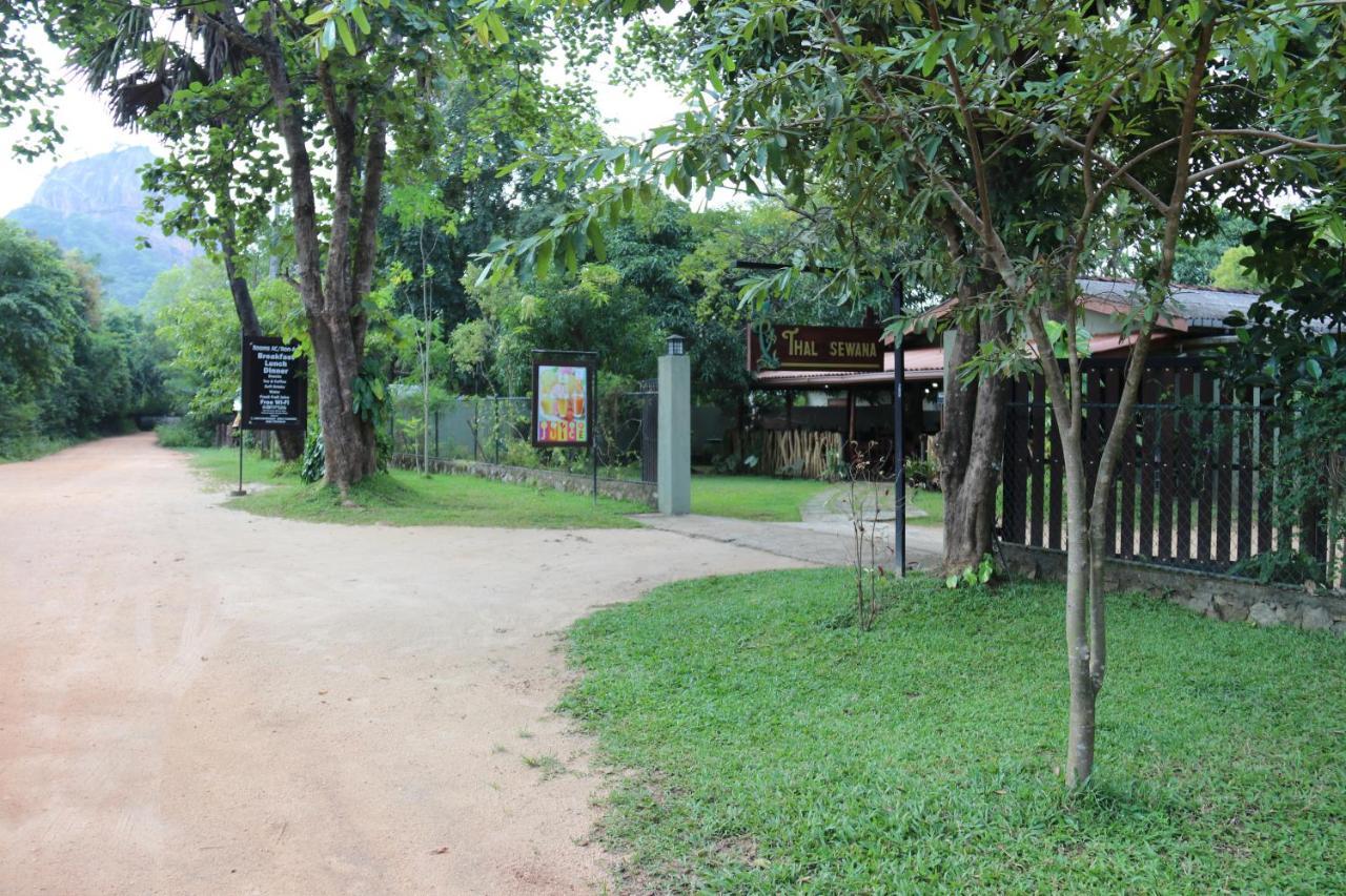 Thal Sewana Home Stay Sigiriya Exterior foto