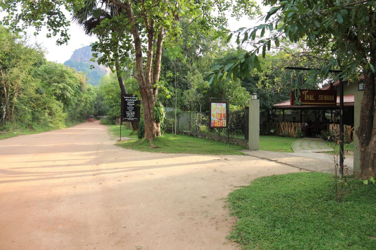 Thal Sewana Home Stay Sigiriya Exterior foto