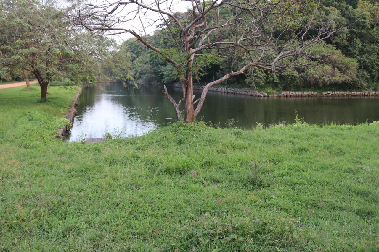 Thal Sewana Home Stay Sigiriya Exterior foto