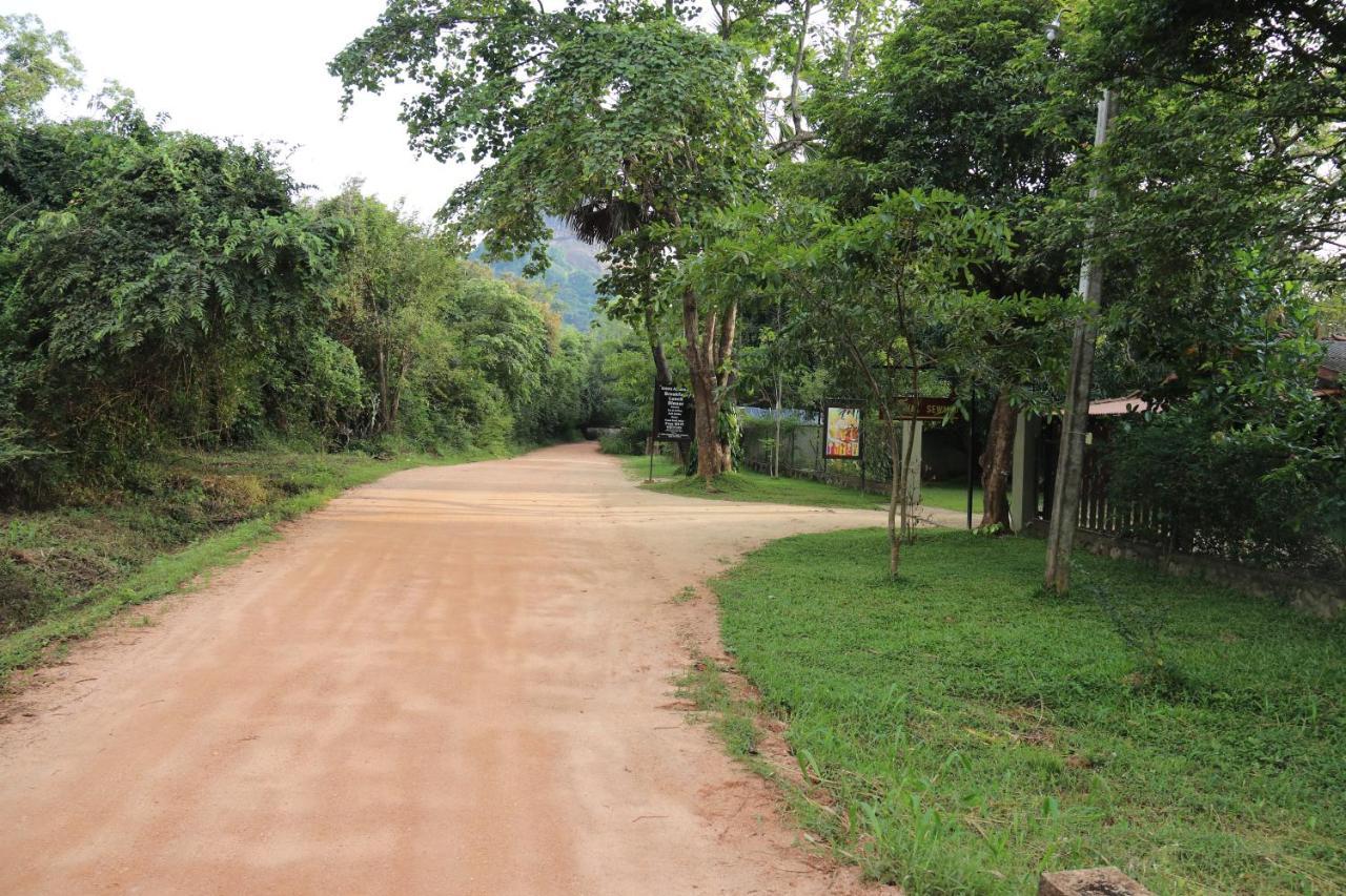 Thal Sewana Home Stay Sigiriya Exterior foto