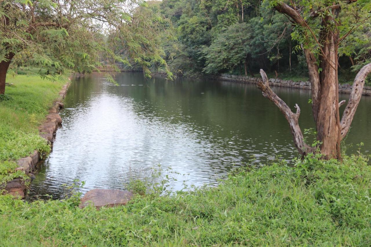 Thal Sewana Home Stay Sigiriya Exterior foto