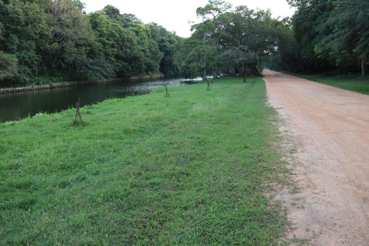 Thal Sewana Home Stay Sigiriya Exterior foto